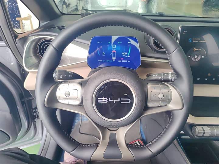 Фото 11 - BYD Dolphin