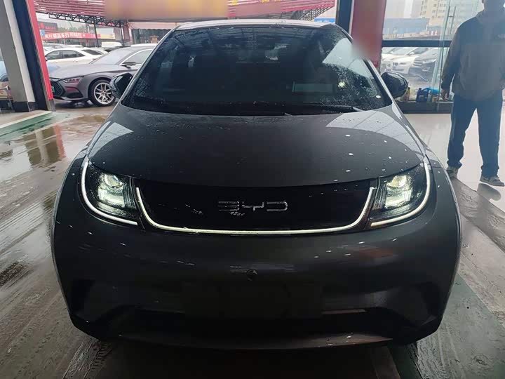 Фото 3 - BYD Dolphin