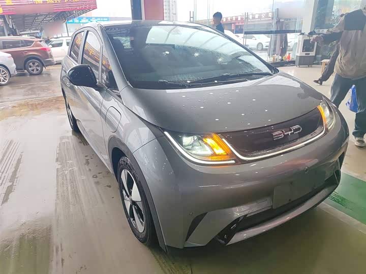 Фото 4 - BYD Dolphin