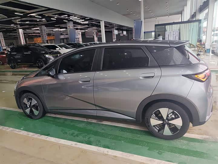 Фото 5 - BYD Dolphin