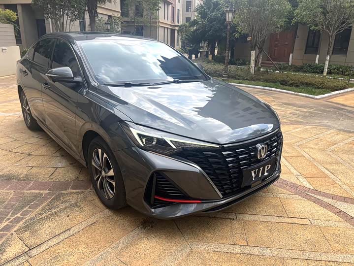 Фото 3 - Changan Eado Plus