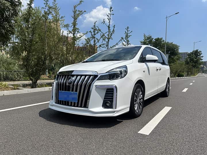 Фото 1 - Buick GL8 ES