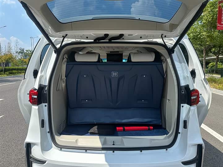 Фото 12 - Buick GL8 ES