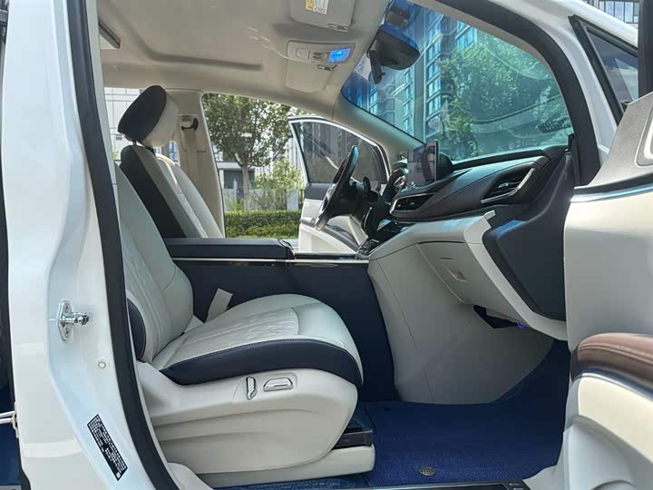 Фото 5 - Buick GL8 ES