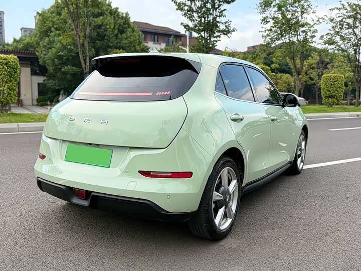 Фото 10 - Ora Good Cat (03)