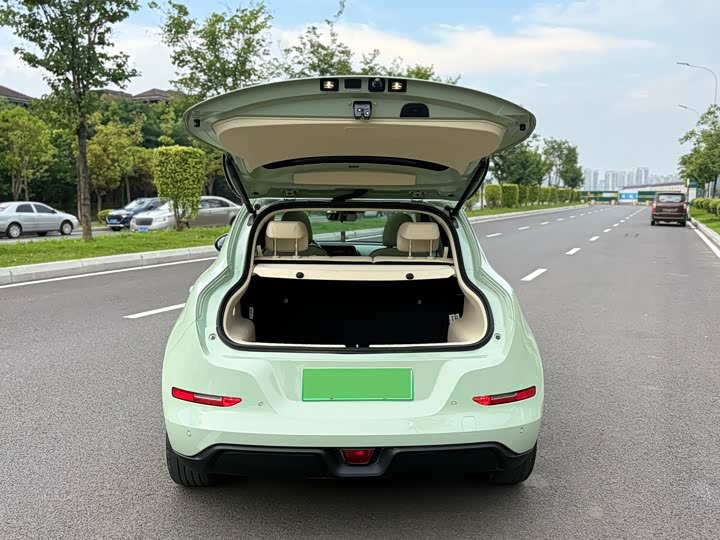 Фото 13 - Ora Good Cat (03)