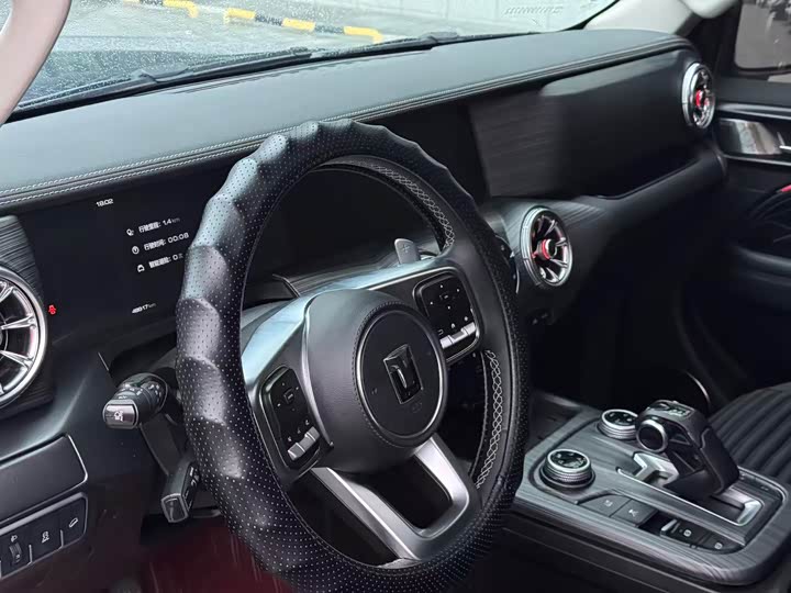 Фото 14 - Tank 300