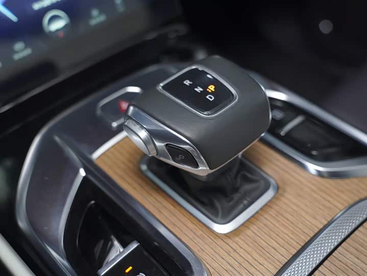 Фото 10 - Hongqi E-HS9