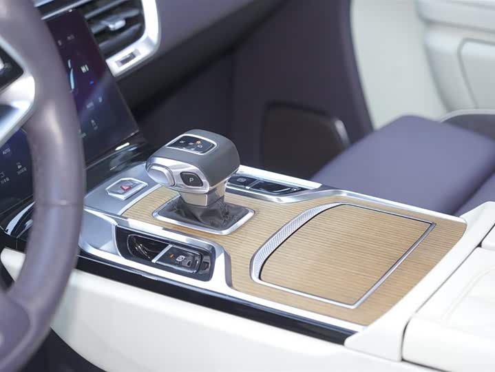 Фото 14 - Hongqi E-HS9