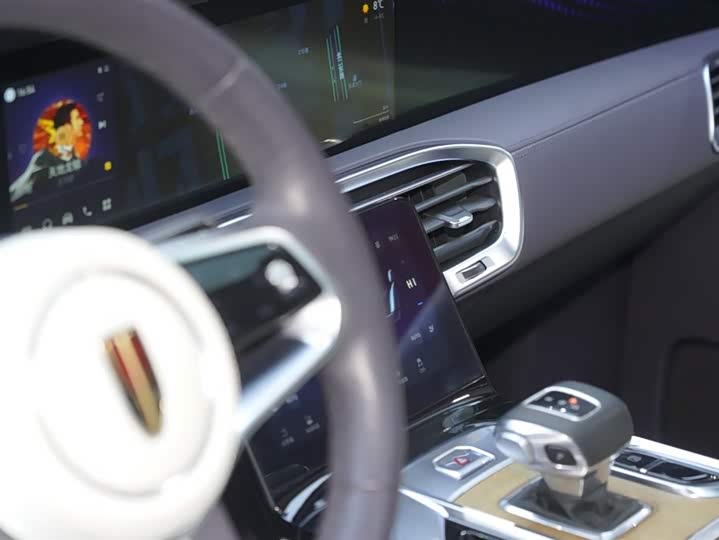 Фото 15 - Hongqi E-HS9