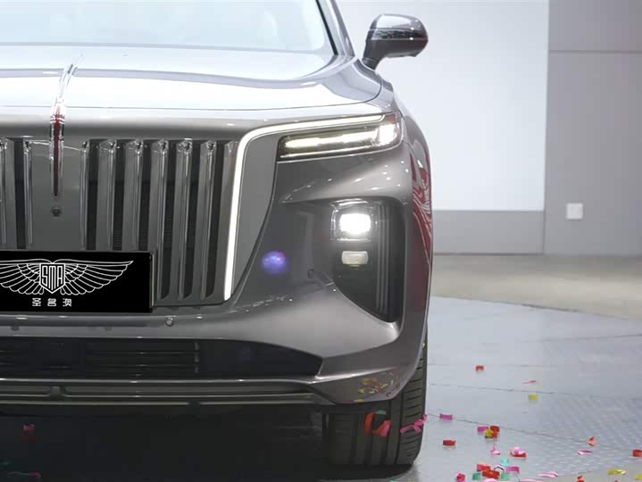 Фото 4 - Hongqi E-HS9