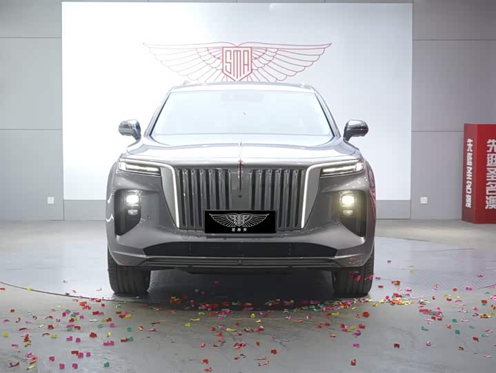 Фото 5 - Hongqi E-HS9