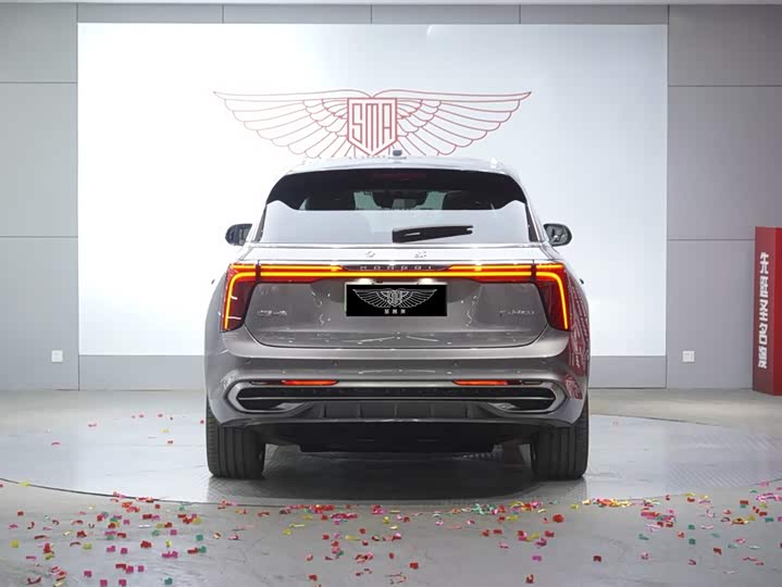 Фото 6 - Hongqi E-HS9