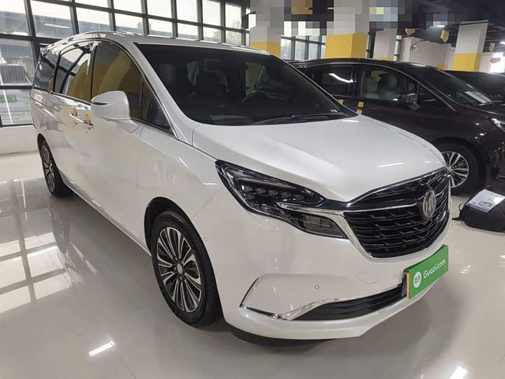 Фото 4 - Buick GL8 ES