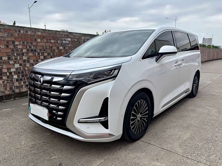 Фото 1 - Denza D9