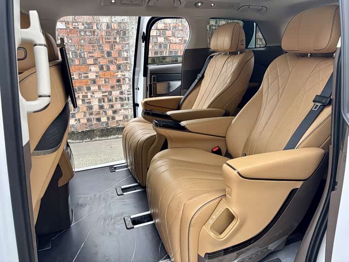 Фото 13 - Denza D9