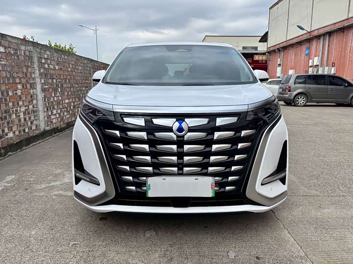 Фото 2 - Denza D9