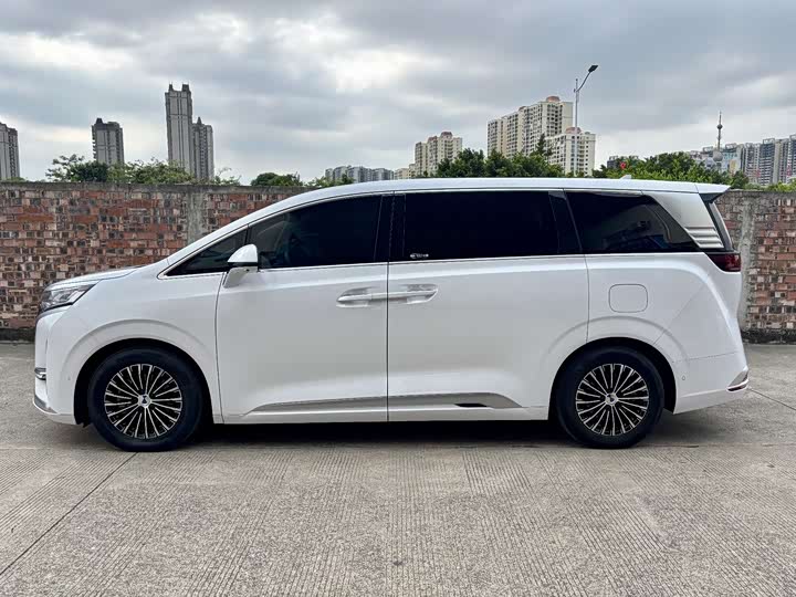 Фото 4 - Denza D9