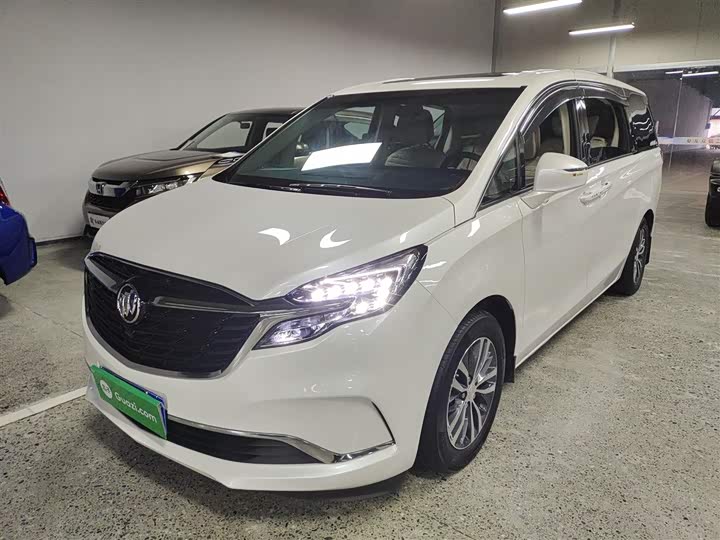 Фото 1 - Buick GL8 ES