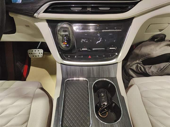 Фото 14 - Buick GL8 ES