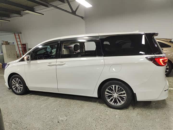 Фото 5 - Buick GL8 ES