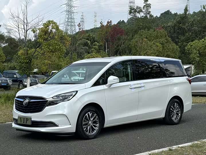 Фото 1 - Buick GL8 ES