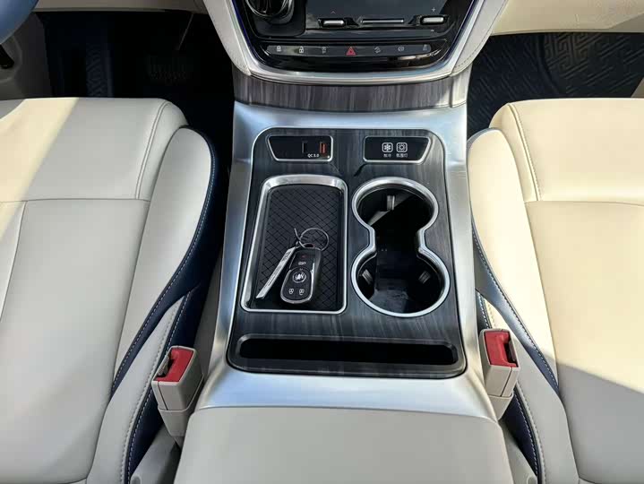 Фото 15 - Buick GL8 ES