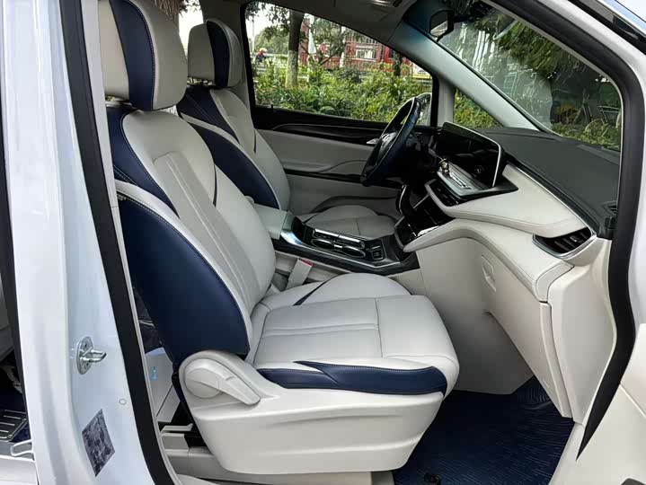 Фото 23 - Buick GL8 ES