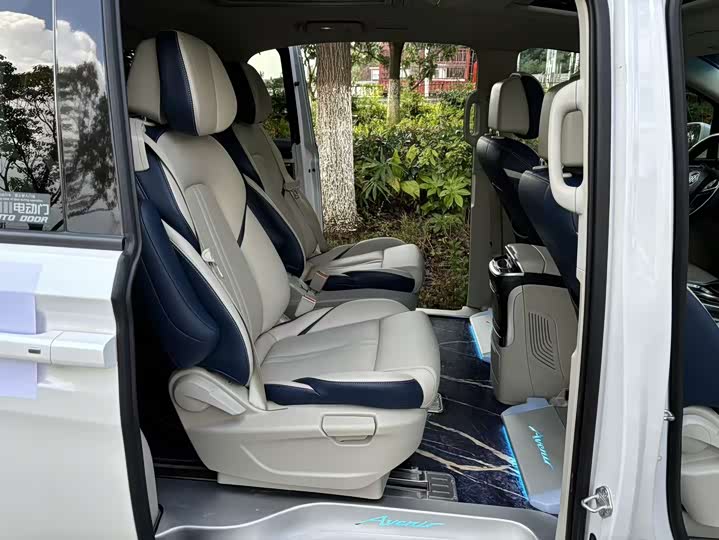 Фото 26 - Buick GL8 ES