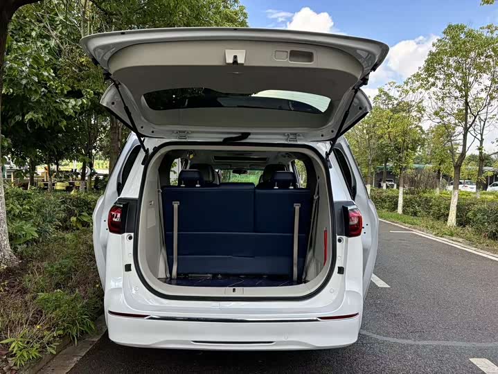 Фото 28 - Buick GL8 ES