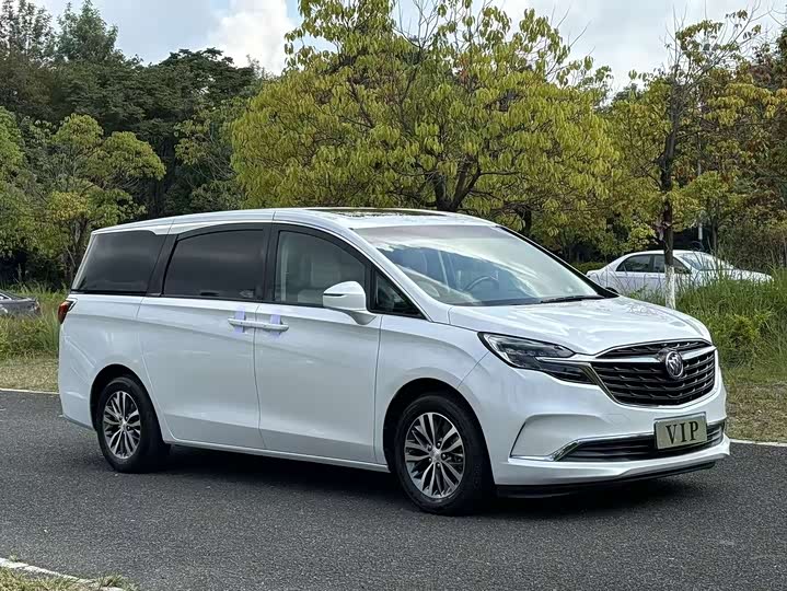 Фото 3 - Buick GL8 ES