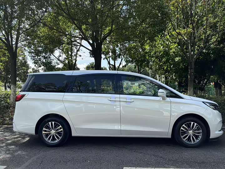 Фото 34 - Buick GL8 ES