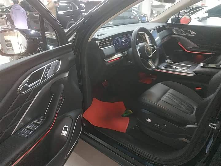 Фото 16 - Hongqi HS7 Hybrid