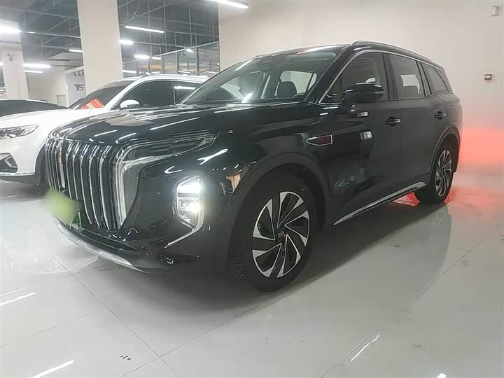 Фото 2 - Hongqi HS7 Hybrid
