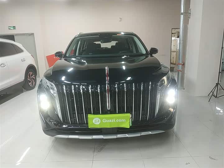 Фото 3 - Hongqi HS7 Hybrid