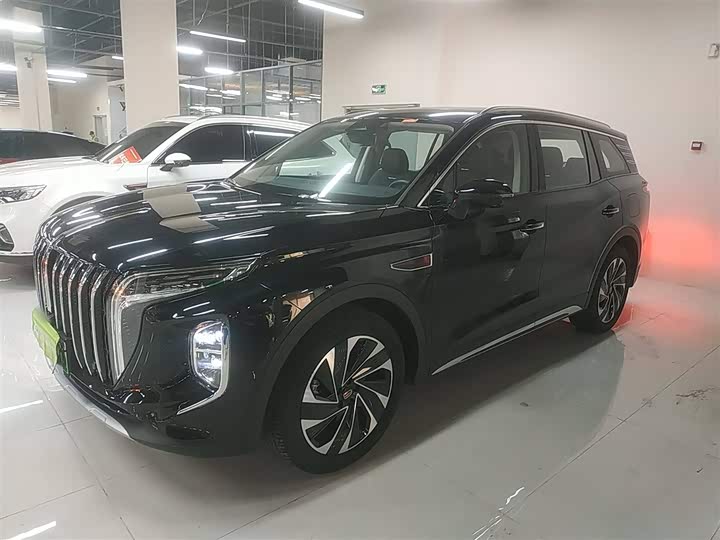 Фото 5 - Hongqi HS7 Hybrid