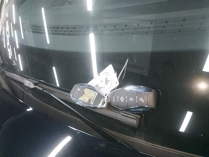 Фото 9 - Hongqi HS7 Hybrid