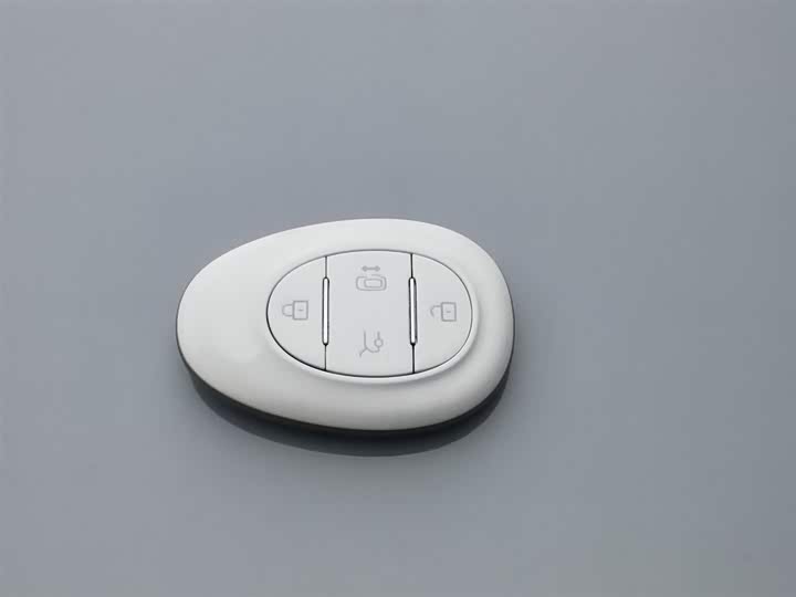 Фото 19 - BAIC Arcfox Kaola S