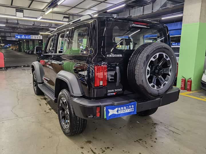 Фото 4 - Tank 300 Hybrid