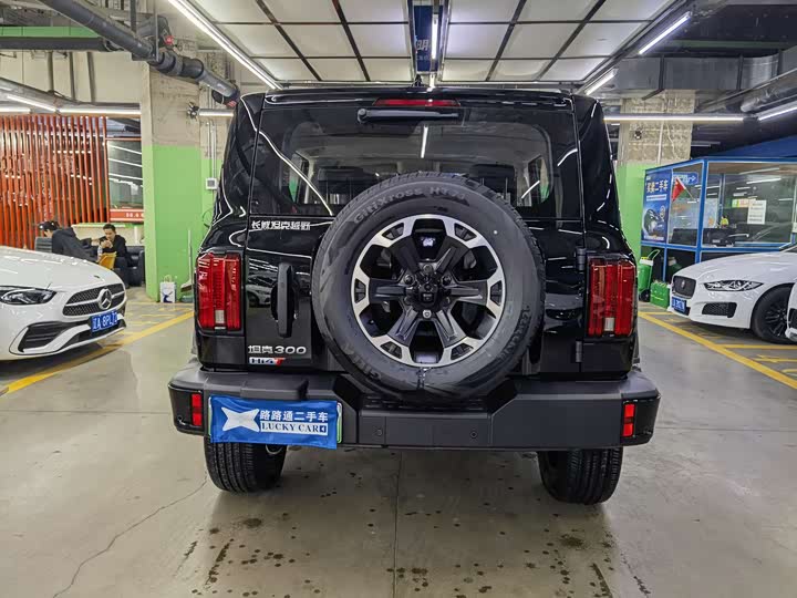 Фото 5 - Tank 300 Hybrid