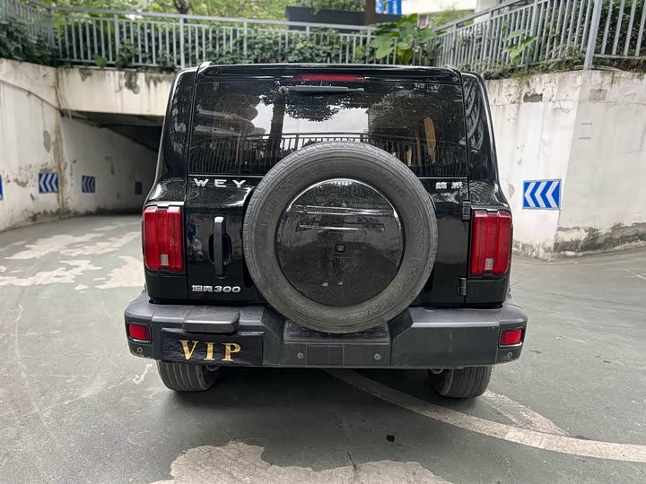 Фото 11 - Tank 300