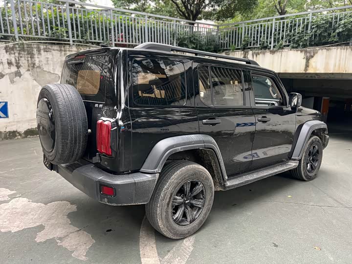 Фото 12 - Tank 300