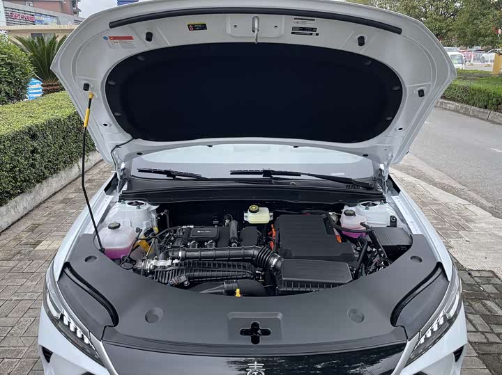 Фото 14 - BYD Qin Plus