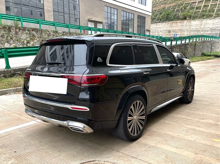 Фото 10 - Mercedes-Benz Maybach GLS