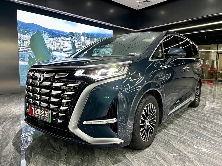 Фото 1 - Denza D9