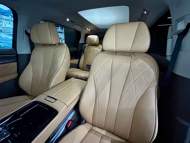 Фото 10 - Denza D9