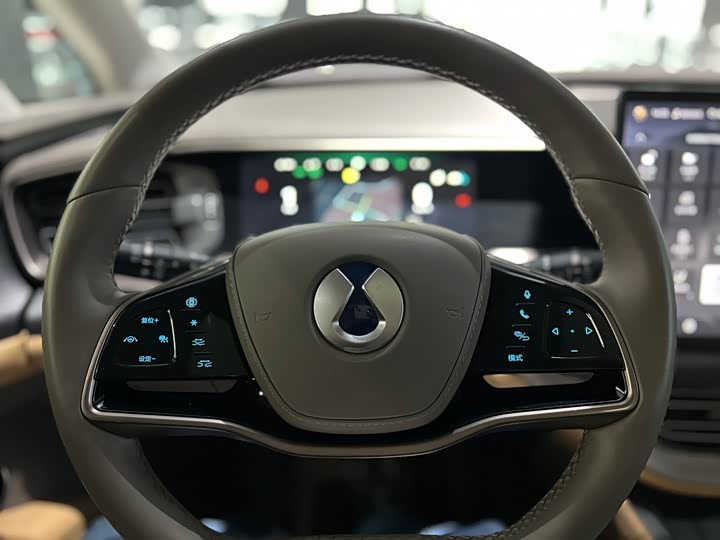 Фото 11 - Denza D9