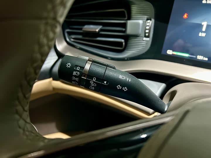 Фото 14 - Denza D9