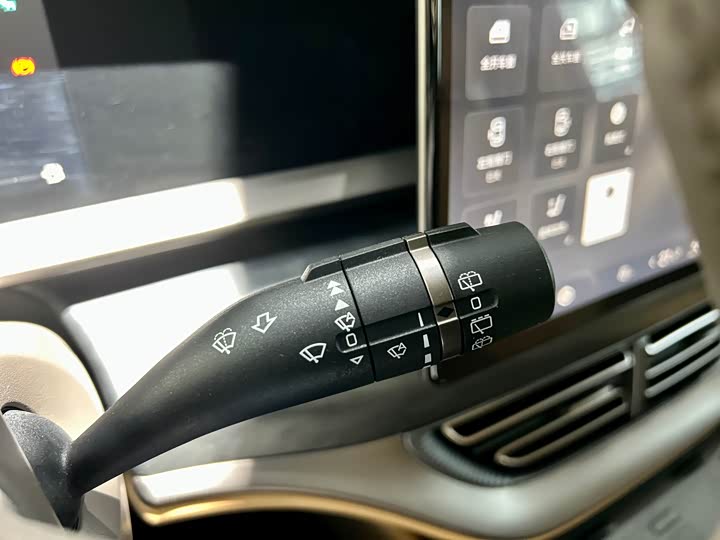 Фото 15 - Denza D9