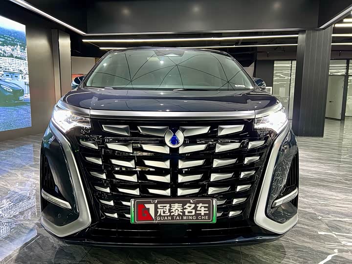 Фото 2 - Denza D9